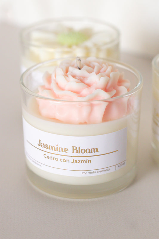 Jasmine Bloom 🌸
