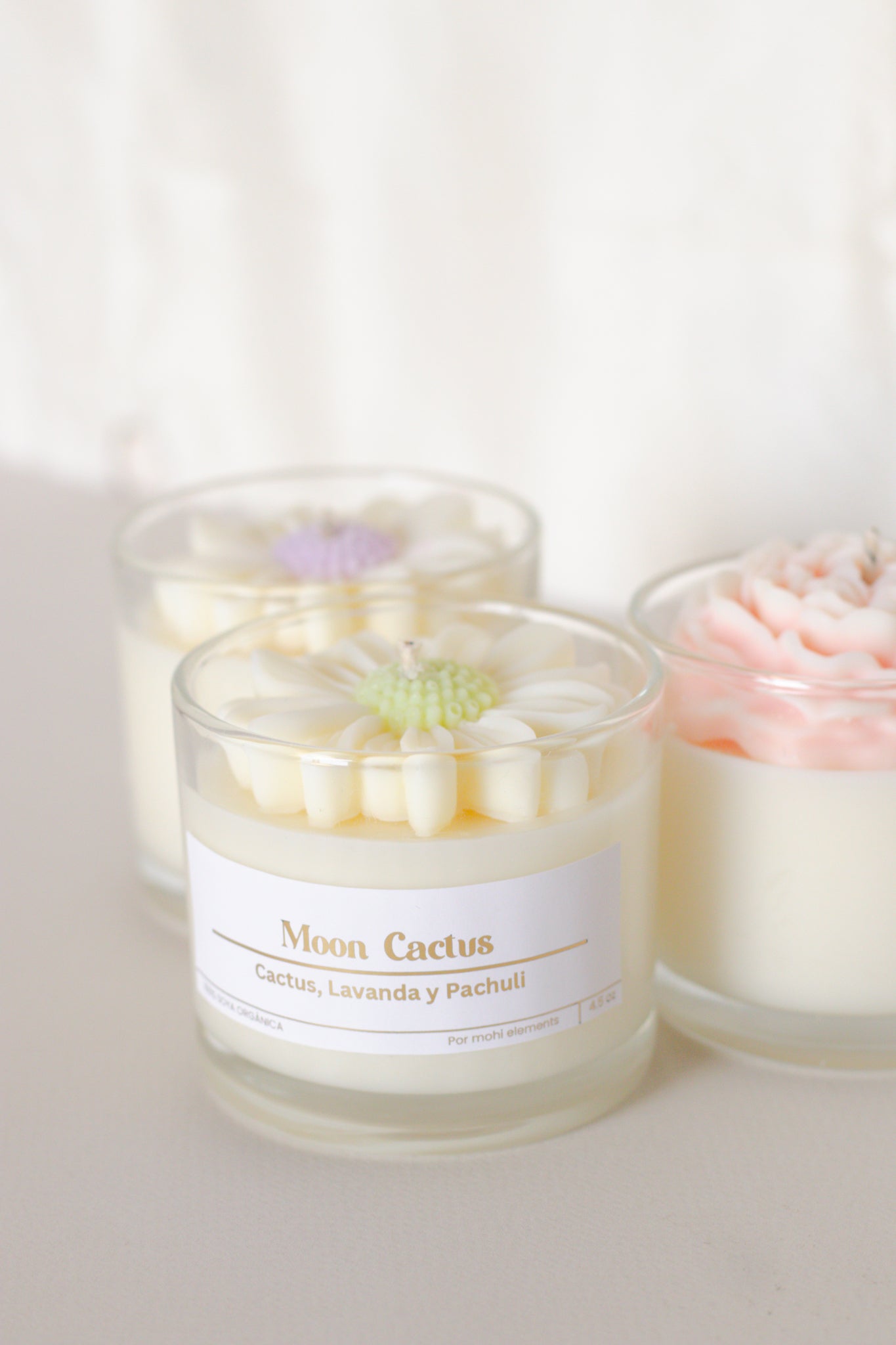 Fiori Collection (3 velas) 🌵💜🌸